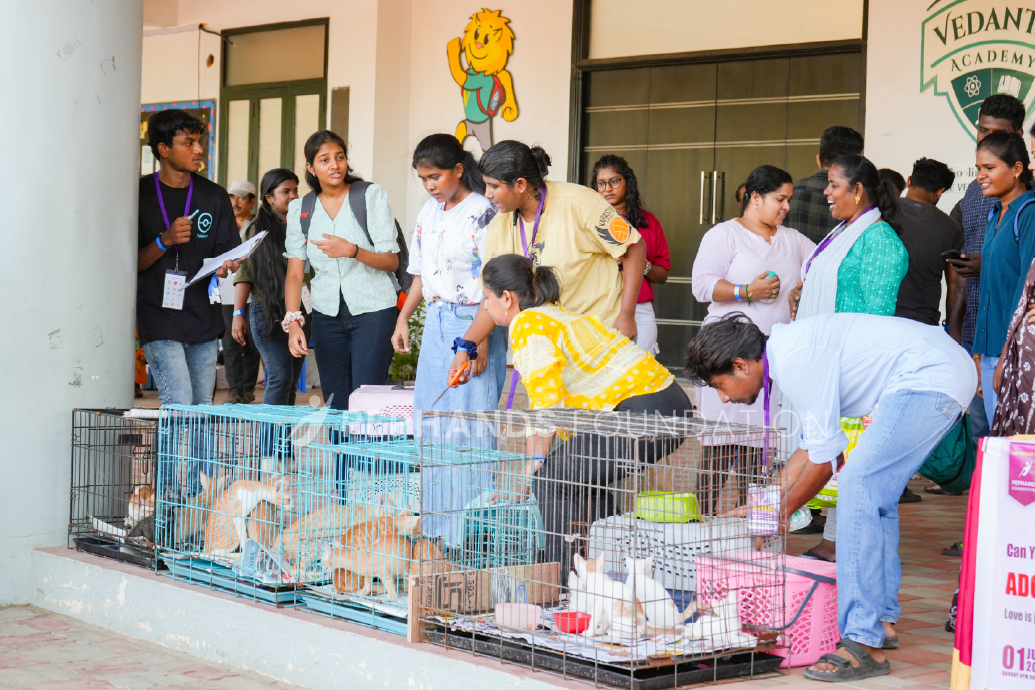 Adoption Drive
